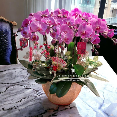 Office Elegance Orchid Display