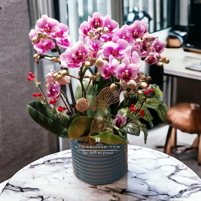 Bloom of Destiny Orchid Pot