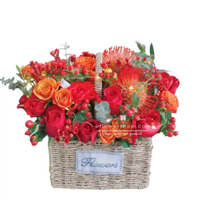 玫瑰小花籃 Roses Basket OPS2368N