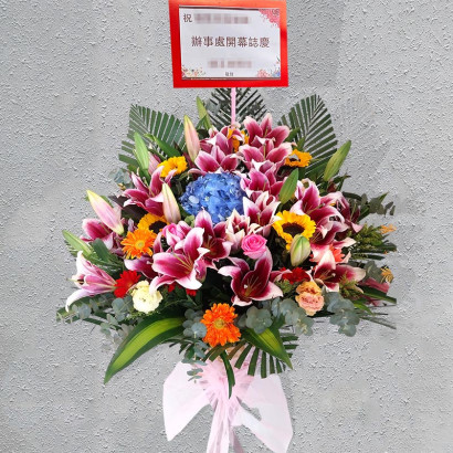 翱翔宏圖