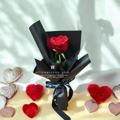 Valentine's Day Red Rose...