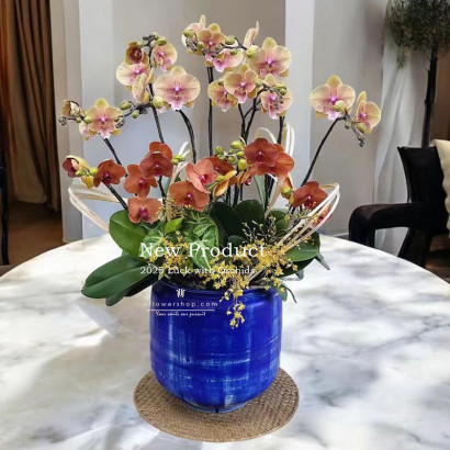 Spring Orchid Pot -...