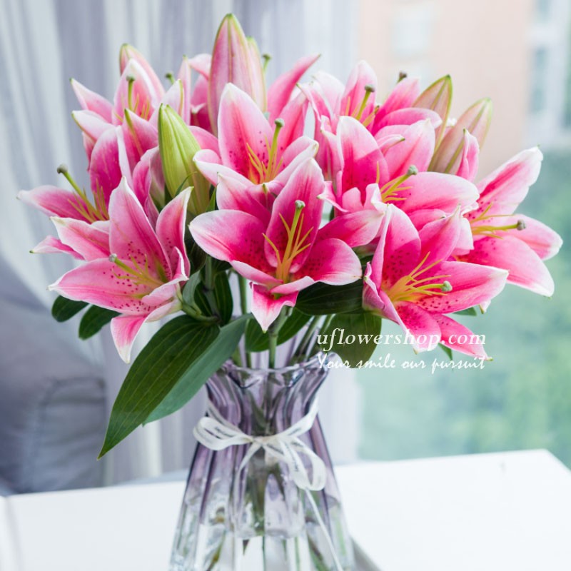 Pink Lily Flowers - Rorty