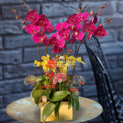 Lunar New Year Orchid -...