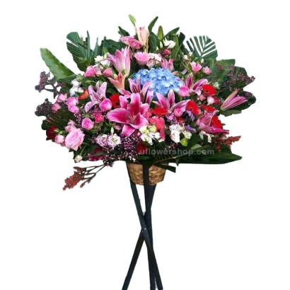 Opening Flower Stand -...