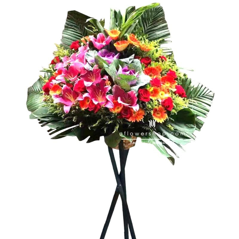 Opening Flower Stand- Cargo...