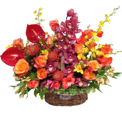 繽紛盛開座枱花籃  OFS5923K