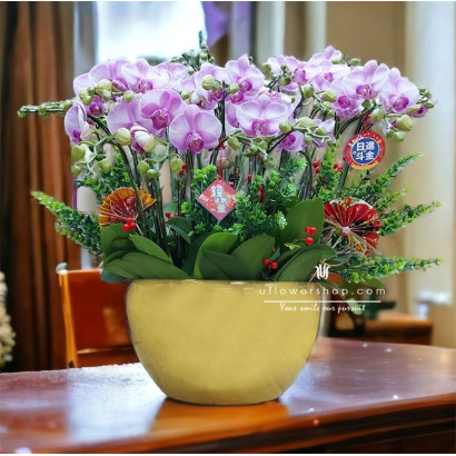Orchid Pot - Prosperity and...