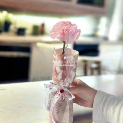 Mother’s Day Flower - Pink Carnation