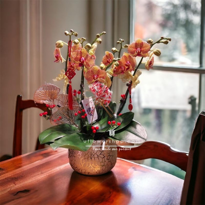New Year Orchid Pot - Lucky...