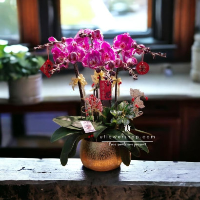 Orchid Pot - Dragon and Tige
