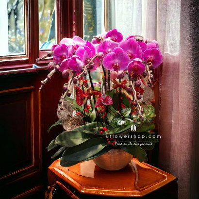 Orchid Pot - Blooming Wealth