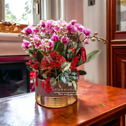 Orchid Pot - Grand Vision