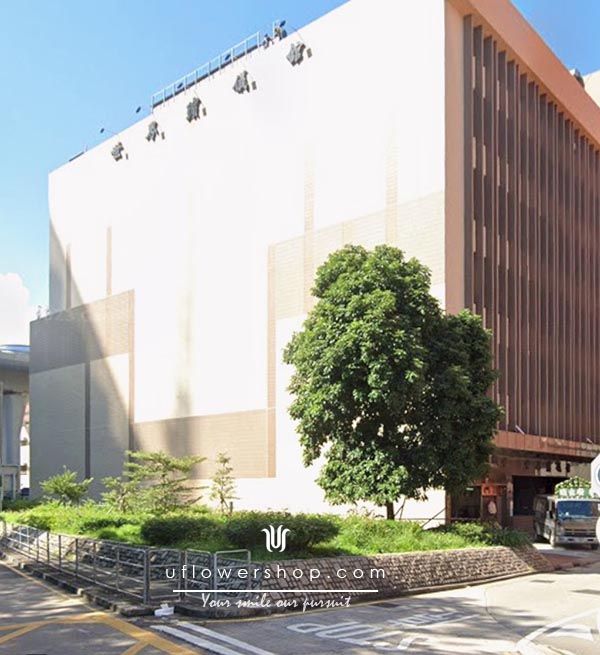 世界殯儀館：設施、服務與交通全攻略