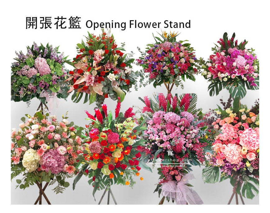 Opening Flower Basket